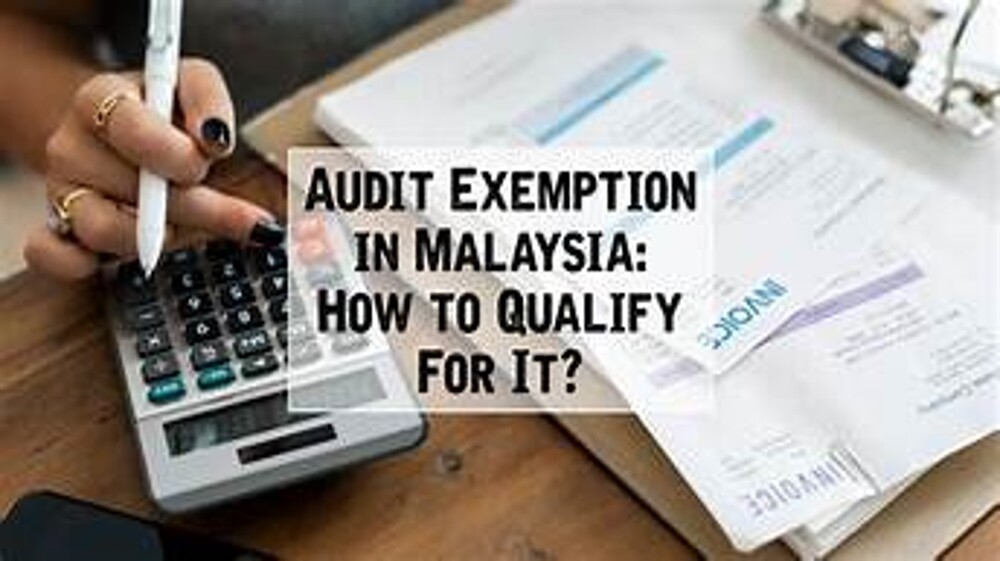 what-is-audit-exemption